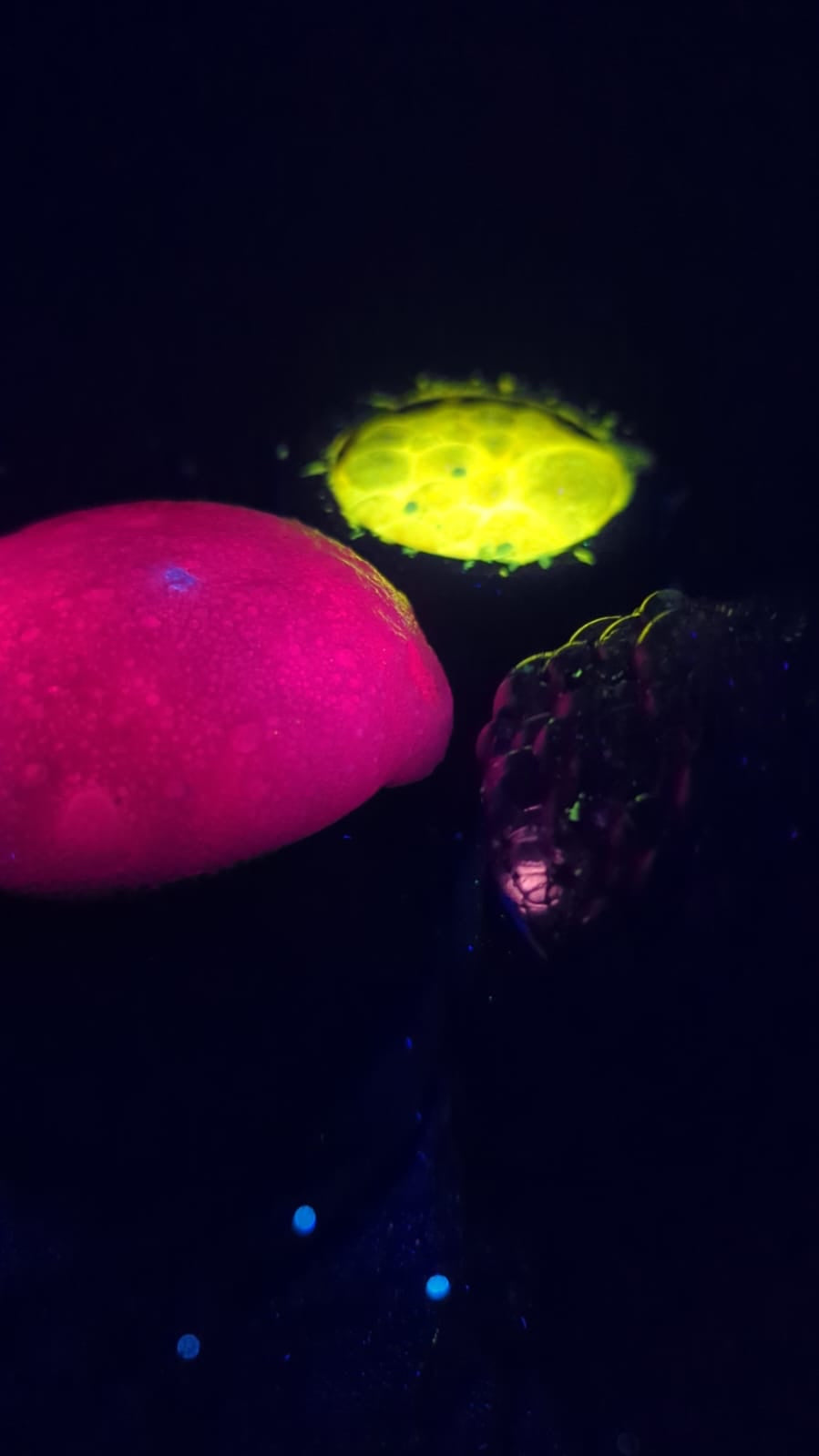 Cauldron Bubble & Glow