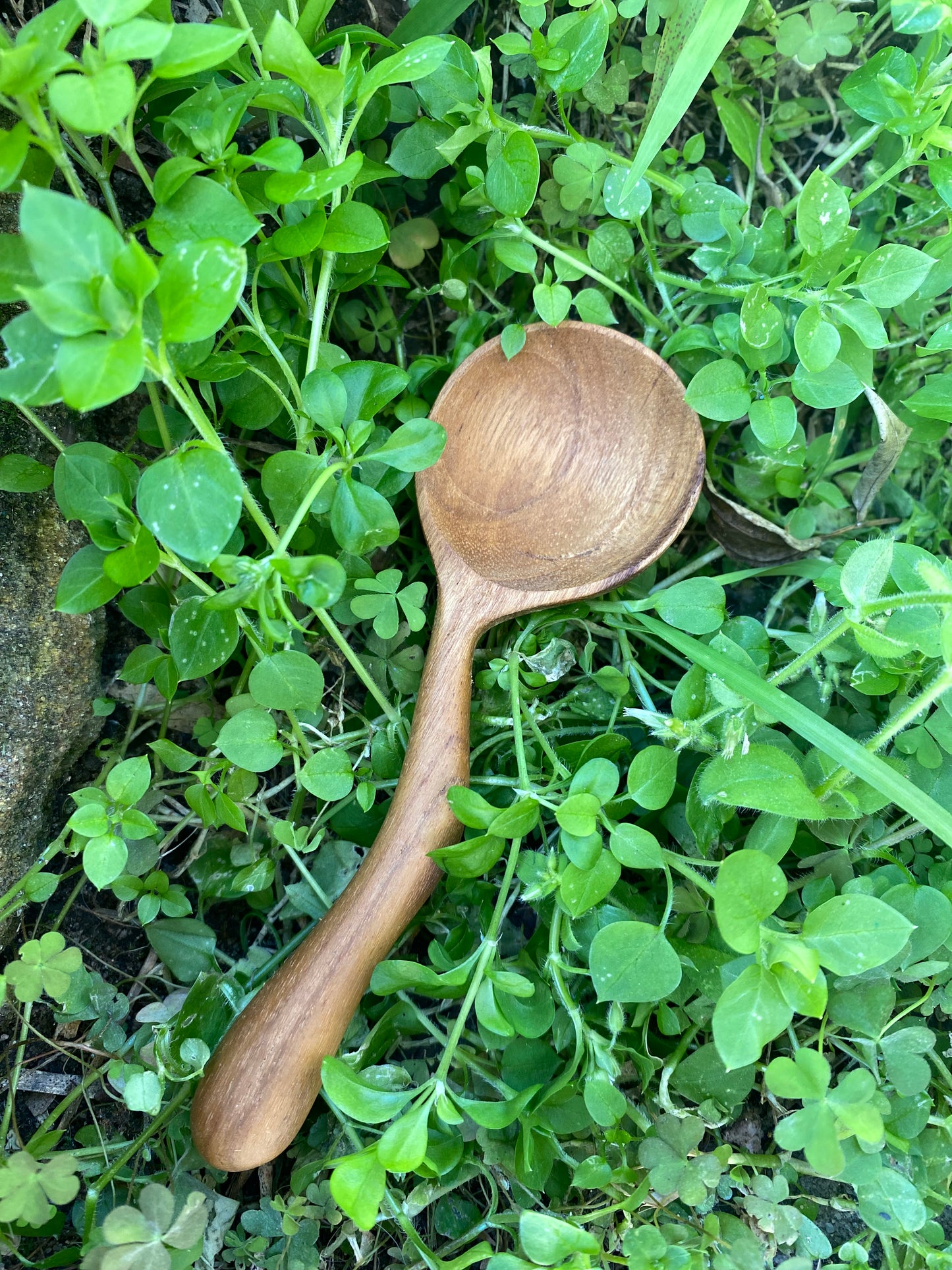 Moon Spoon