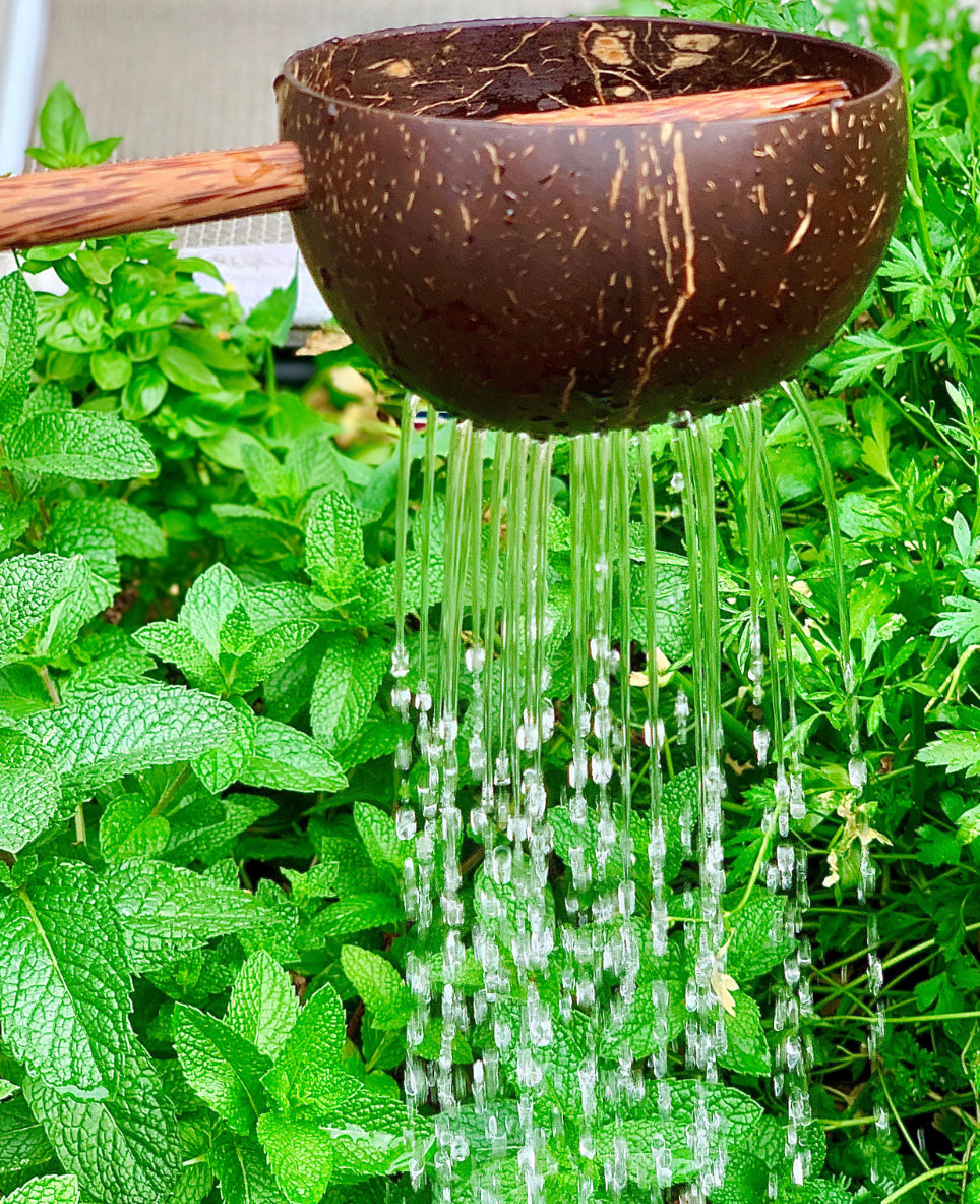 Coconut Sieve