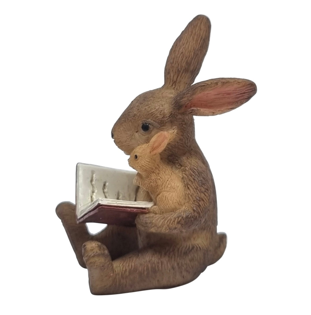 Story time Bunny Rabbits