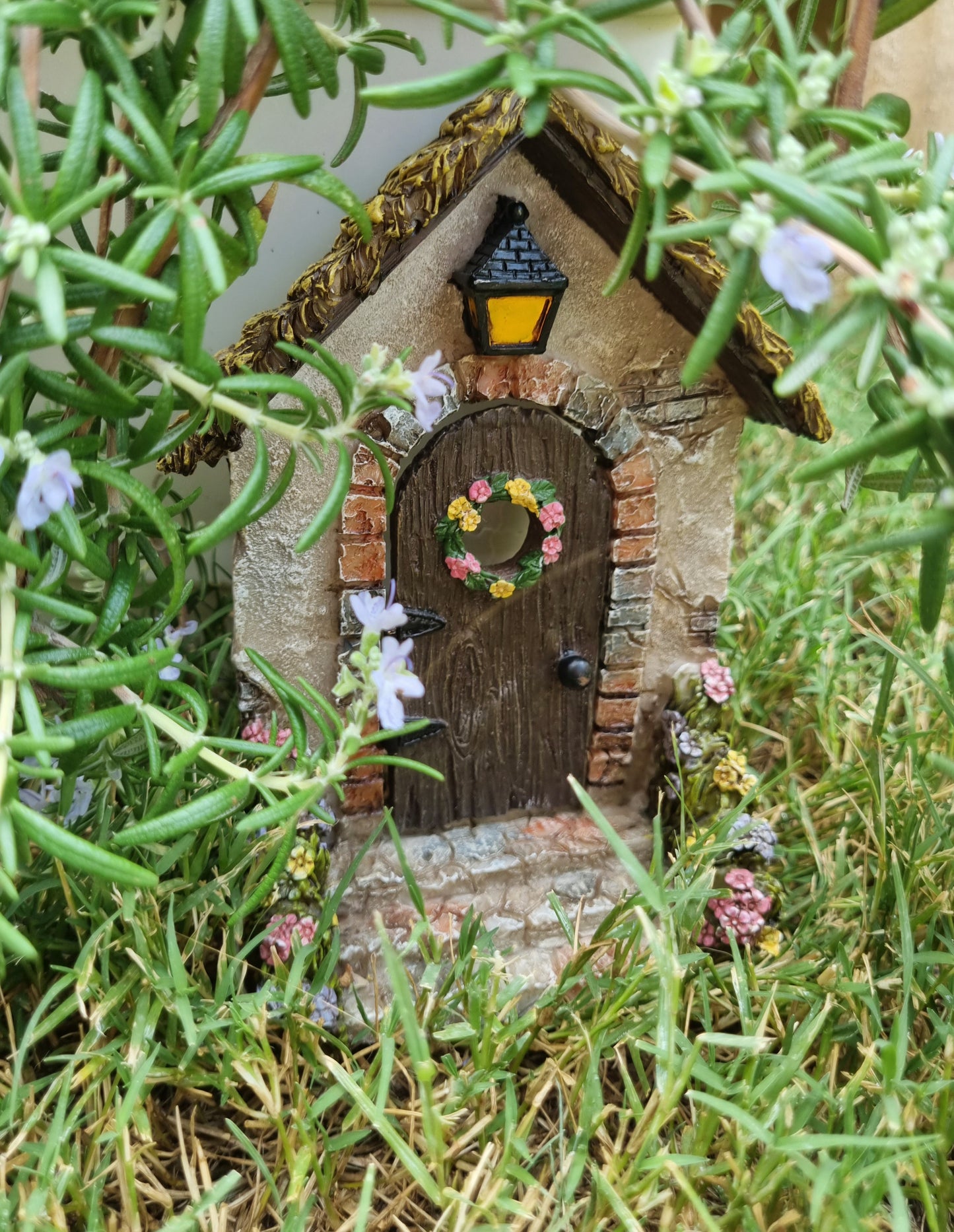 Enchanted Door (Hinged Opening)