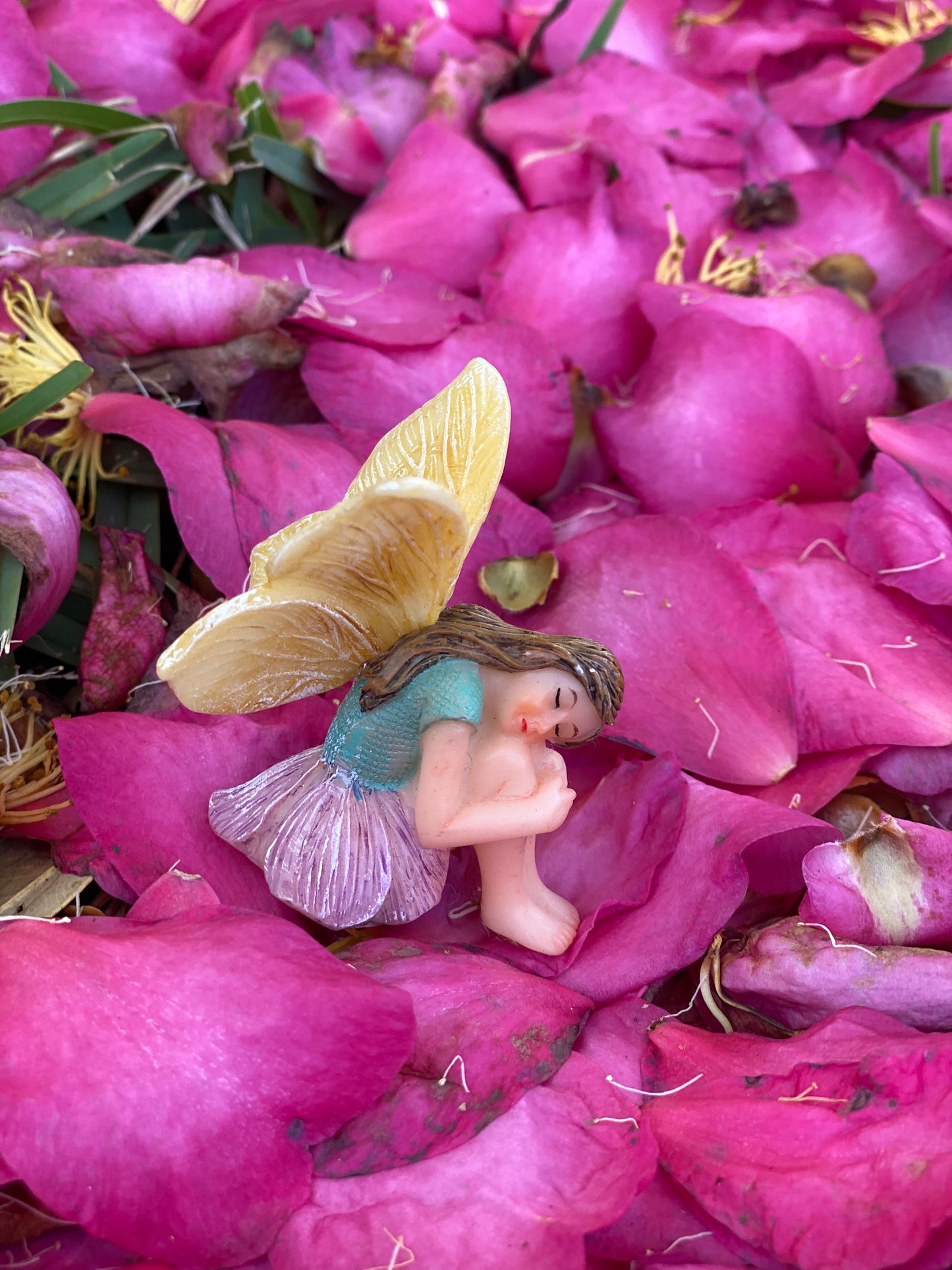 Fairy Chloe Sleeping