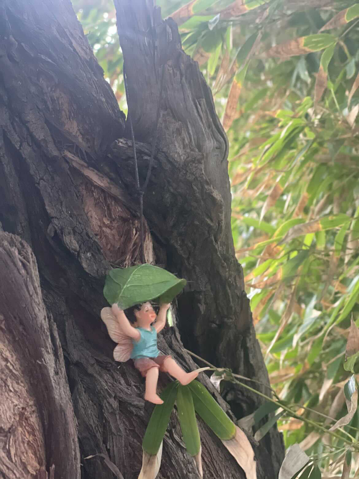 Leaf Parachute Boy Fairy