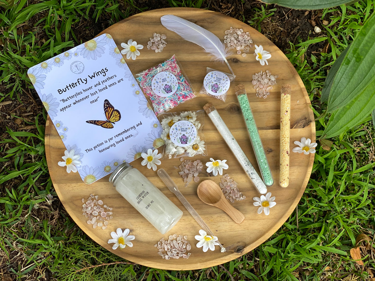Butterfly Wings Potion Kit