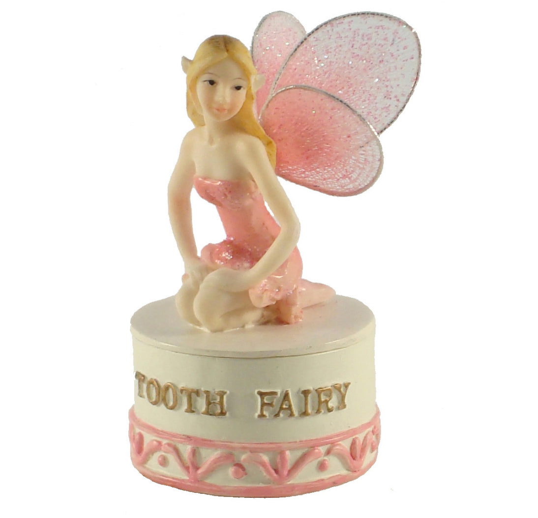 Tooth Fairy Box