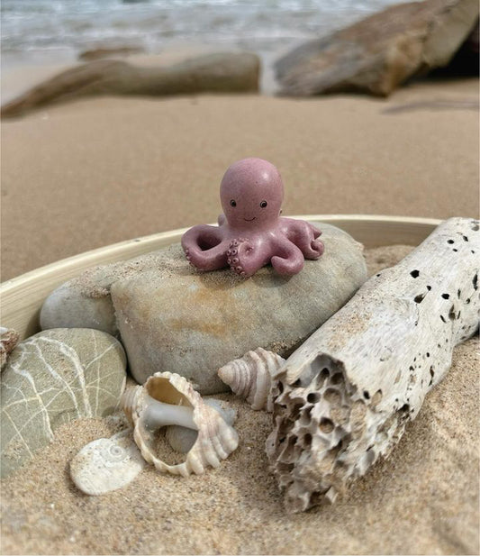 Octopus