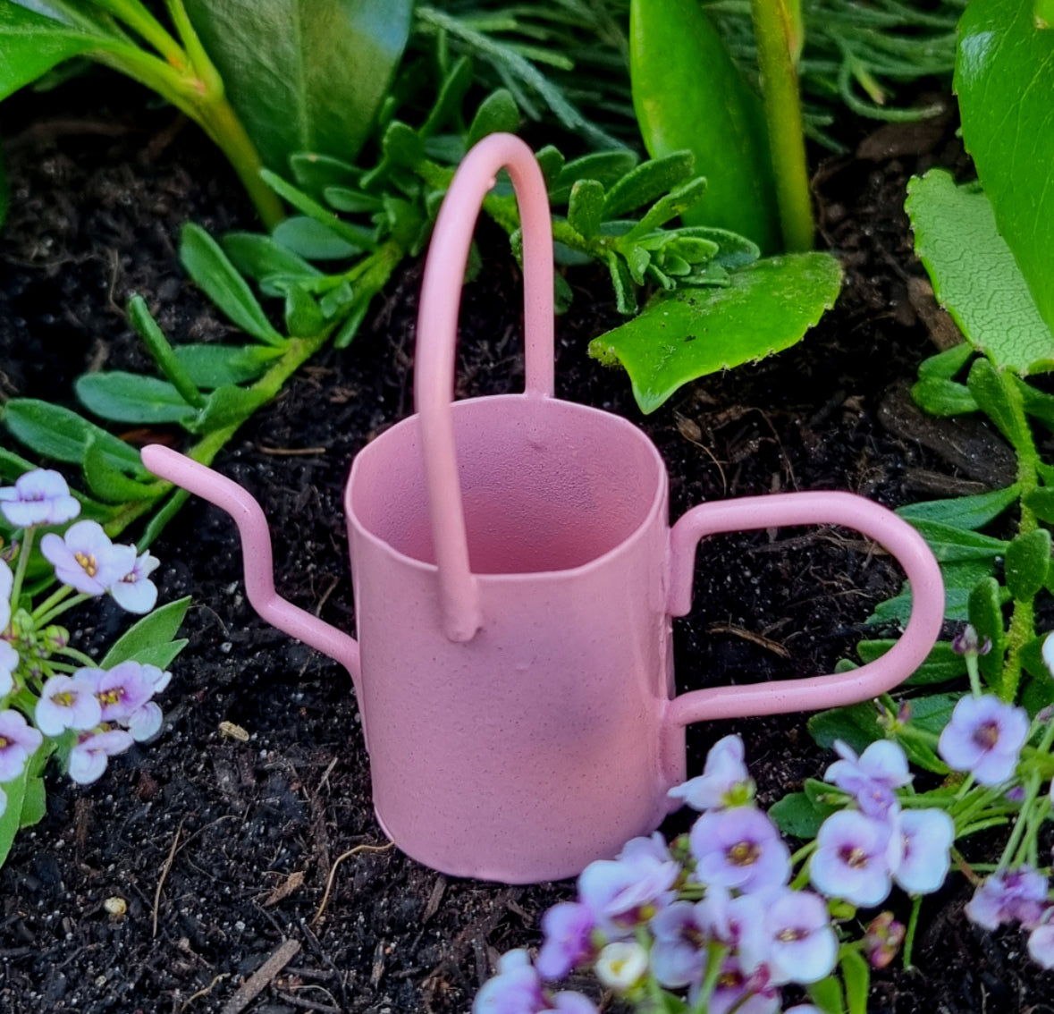 Watering Can