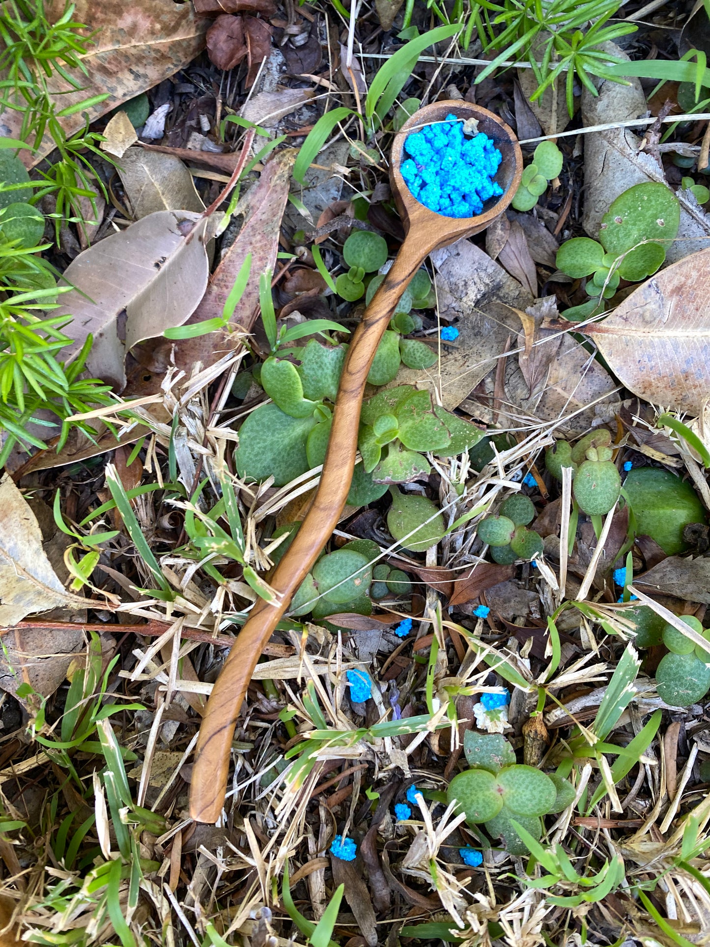 Mini Teak Ladle