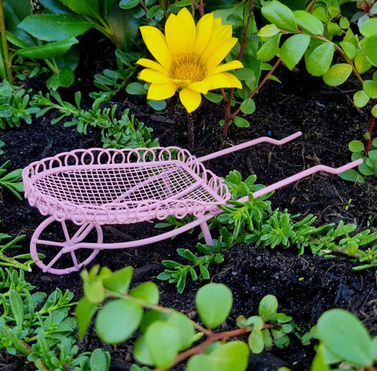 Metal Wheelbarrow