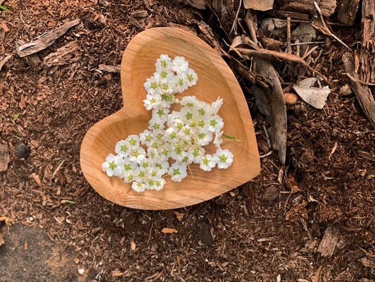 Heart Bowl