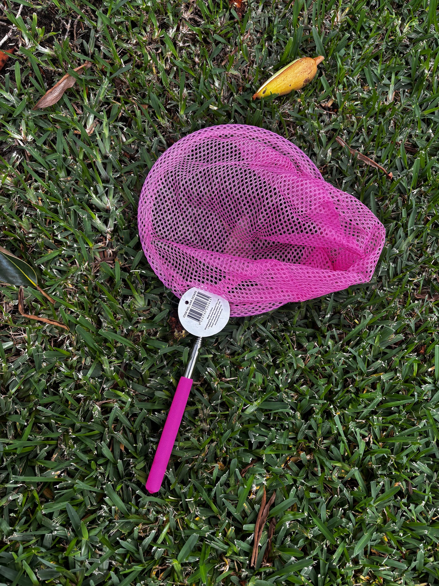 Enchanted Flutter Net (extendable)