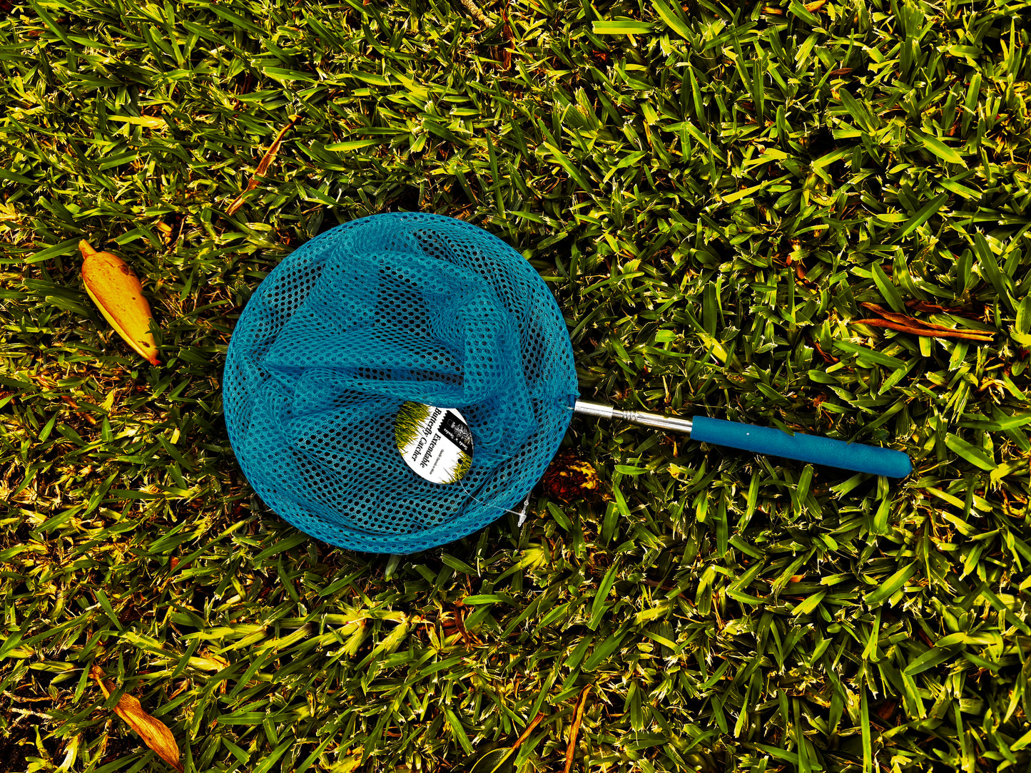 Enchanted Flutter Net (extendable)