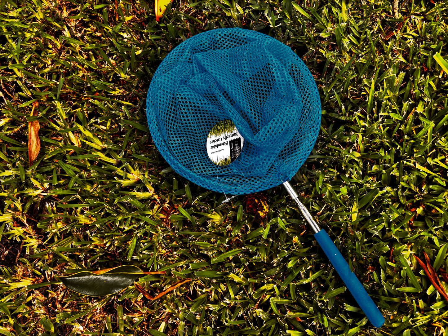 Enchanted Flutter Net (extendable)