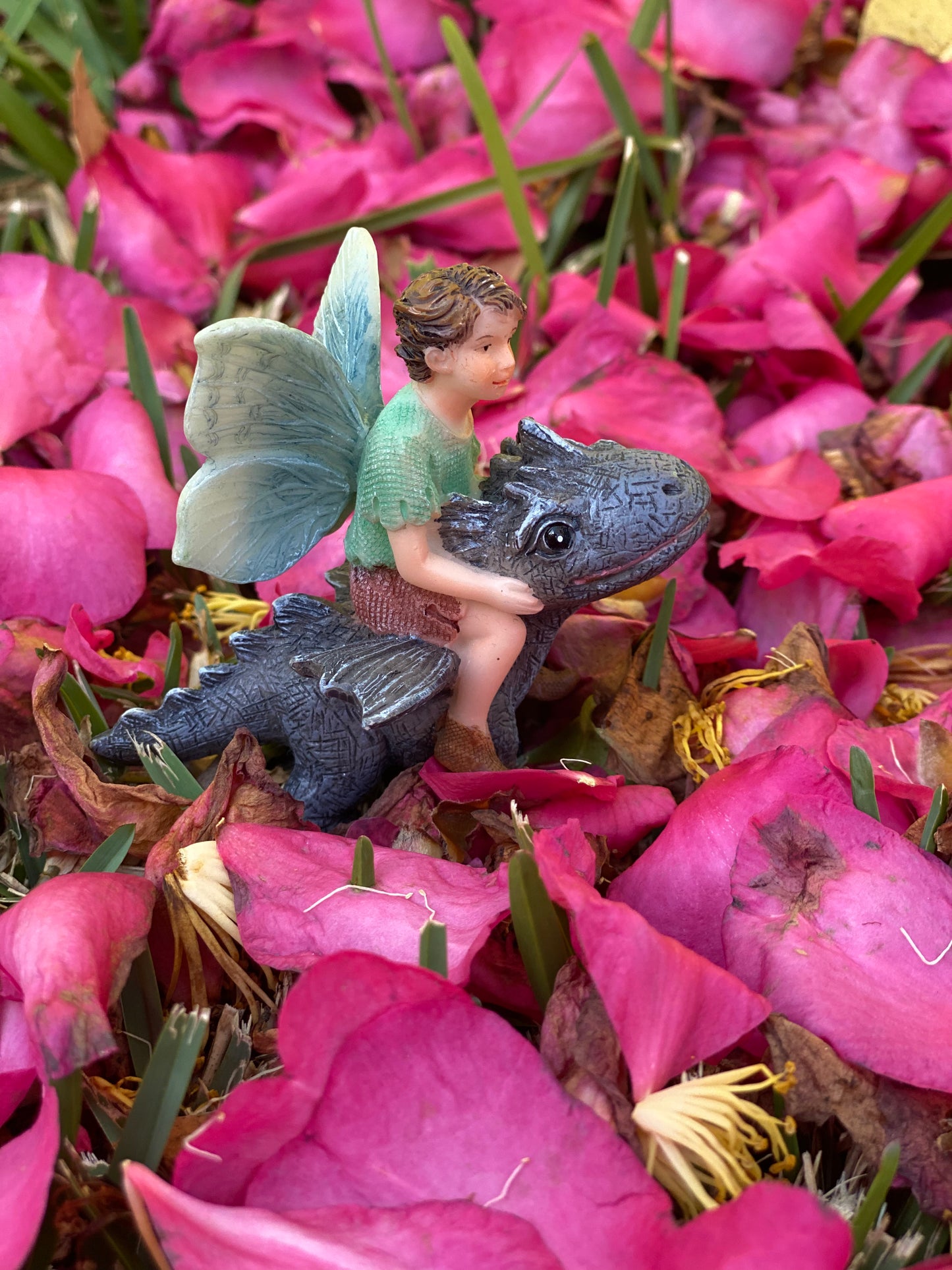 Fairy Draco Riding a Dragon