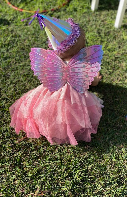 Kids Rainbow Fairy Wings & Wand