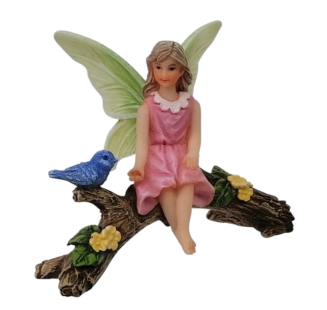 Fairy Freya Feeding Bird