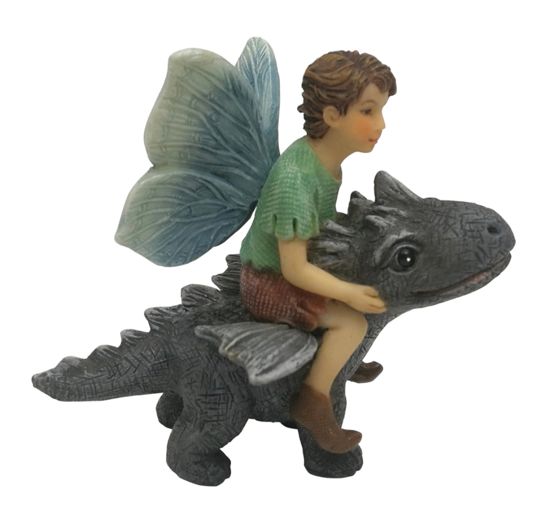 Fairy Draco Riding a Dragon