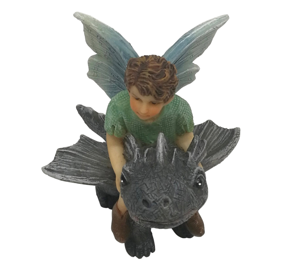 Fairy Draco Riding a Dragon