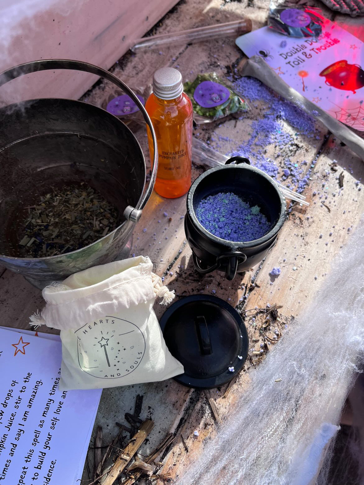 Double Double Toil & Trouble Potion Kit