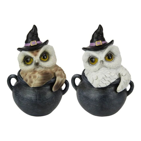 Owl in Cauldron Pot