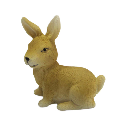 Miniature Rabbit