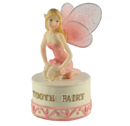 Tooth Fairy Box