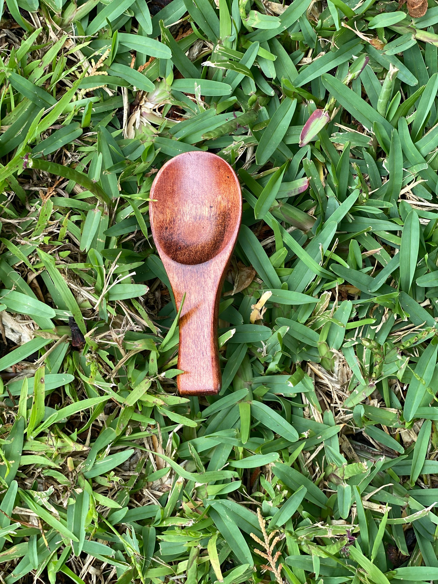 Wooden Spoon